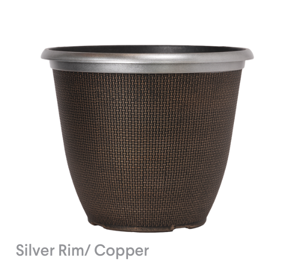 image of Silver Rim Copper planter